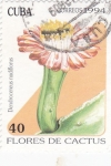 Sellos de America - Cuba -  Flores de Cactus-  Dendrocereus nudiflorus