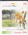 Stamps Cuba -  Santiago de Cuba- Byrsonima crassifolia