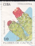Sellos de America - Cuba -  Flores de Cactus-Opuntia millspaughii