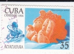 Sellos de America - Cuba -  Acuicultura-Hippospongia lachne