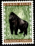 Stamps Belgium -  Congo Belga - Africa