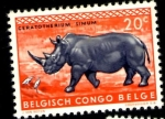 Stamps Belgium -  Congo Belga - Africa