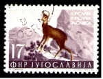 Stamps : Europe : Russia :  