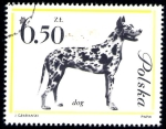 Stamps Poland -  