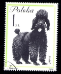 Stamps Poland -  