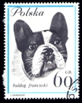 Sellos de Europa - Polonia -  