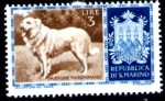 Stamps : Europe : San_Marino :  