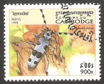 Stamps Cambodia -   Insecto