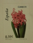 Stamps : Europe : Spain :  flora.jacinto 2007
