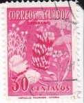 Stamps Ecuador -  Flora Ecuatoriana