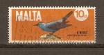 Stamps Malta -  MONTICOLA  SOLITARIUS