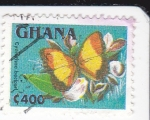 Sellos de Africa - Ghana -  Mariposa