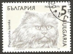 Stamps : Europe : Bulgaria :  3286 - Gato Persa