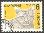 Stamps : Europe : Bulgaria :  3288 - Gato Europeo