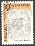 Stamps Bulgaria -  3290 - Gato Persa