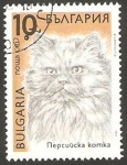 Sellos de Europa - Bulgaria -  3290 - Gato Persa