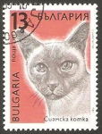 Stamps Bulgaria -  3291 - Gato Siamés