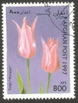 Stamps Afghanistan -  Flor tulipan