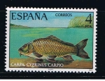 Sellos de Europa - Espa�a -  Edifil  2406  Fauna Hispánica.  