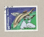 Stamps Hungary -  Esturiones