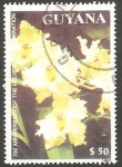 Stamps America - Guyana -  Flor