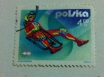 Stamps : Europe : Poland :  Juegos Olimpicos de invierno Innsbruck 1975