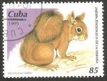 Stamps Cuba -  Una ardilla