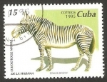 Stamps : America : Cuba :  Una cebra