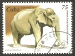 Stamps Cuba -  Un elefante