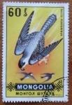Stamps Mongolia -  FALCO PEREGRINUS