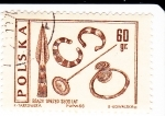 Stamps Poland -  Brazaletes y lanza