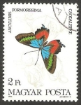 Sellos de Europa - Hungr�a -  2914 - mariposa ancyluris formosissima
