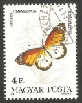 Sellos de Europa - Hungr�a -  2915 - mariposa danaus chrysippus