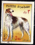 Stamps United Arab Emirates -  GREYHOUND BARZOÏ