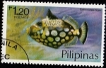 Stamps Philippines -  Balistoides Niger