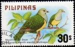 Sellos de Asia - Filipinas -  Merrill`s Fruit Dove. Ptilinopus Merrilli Merrilli, McGregor.