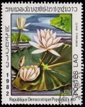 Stamps Laos -  NYMPHAEA WHITE