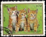Sellos de Asia - Emiratos rabes Unidos -  GATOS