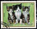 Stamps : Asia : United_Arab_Emirates :  GATOS