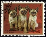 Sellos de Asia - Emiratos rabes Unidos -  GATOS
