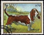 Stamps United Arab Emirates -  PERRO