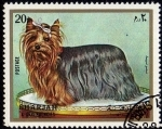 Stamps United Arab Emirates -  PERRO