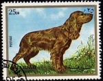 Stamps United Arab Emirates -  Cocker Spaniel