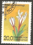 Stamps Asia - Uzbekistan -  Flor