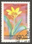 Stamps Asia - Uzbekistan -  Flor
