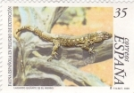 Stamps : Europe : Spain :  Lagarto gigante de El Hierro       (Ñ)