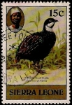 Stamps Sierra Leone -  Pajaro