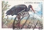 Stamps Spain -  Fauna hispánica- Cigüeña negra        (Ñ)