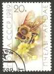 Stamps Russia -  5629 - abeja obrera