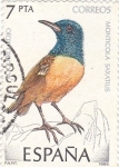 Stamps Spain -  Monticola Saxatilis   (Ñ)